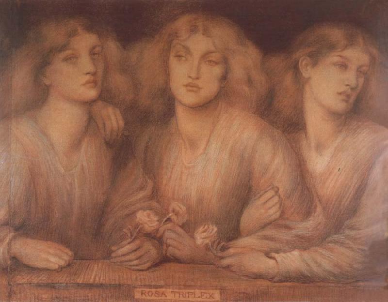 Dante Gabriel Rossetti Rosa Triplex